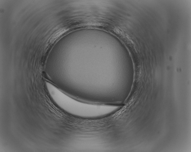 X0000087371169200705181209