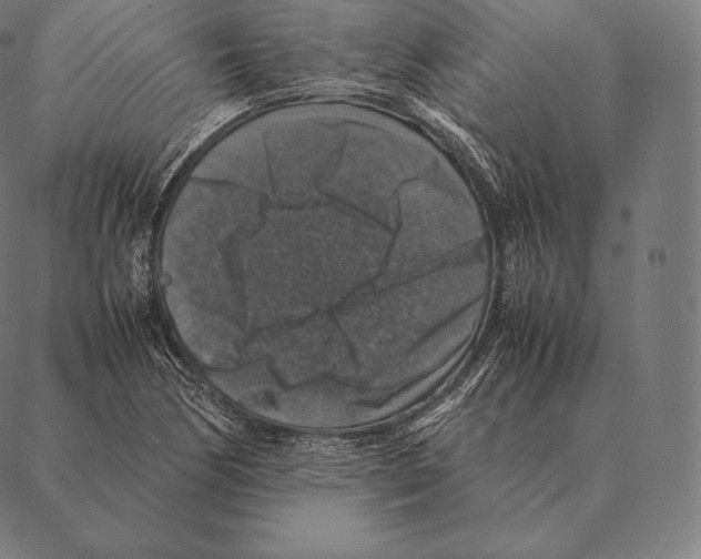 X0000087371170200705181209