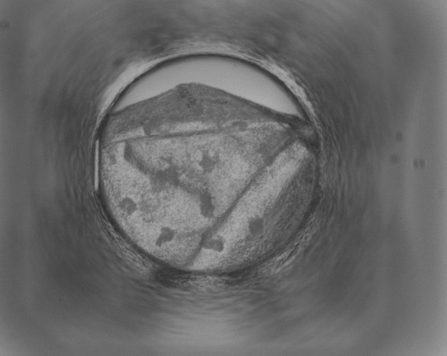 X0000087371175200705181209