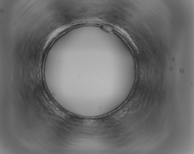 X0000087371176200705181209