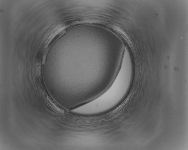 X0000087371177200705181209