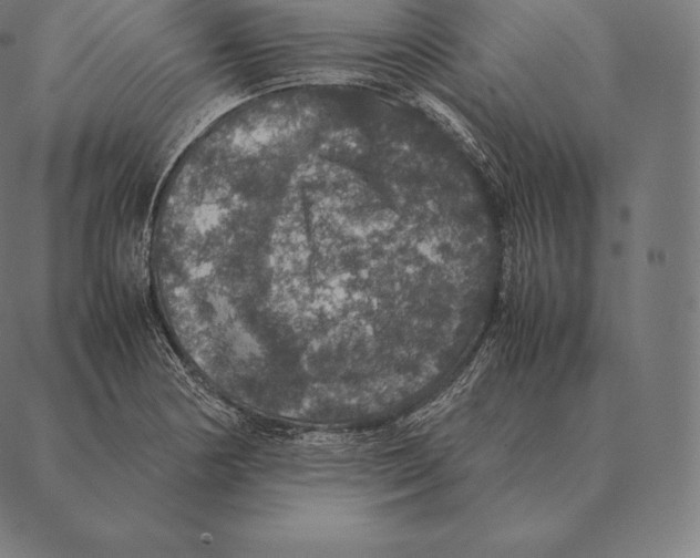 X0000087371178200705181209