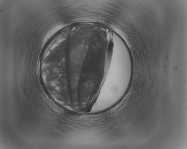 X0000087371179200705181209