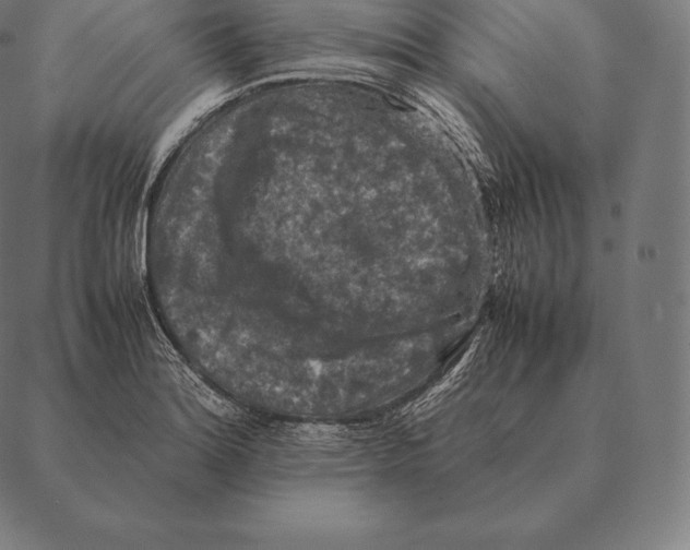 X0000087371180200705181209