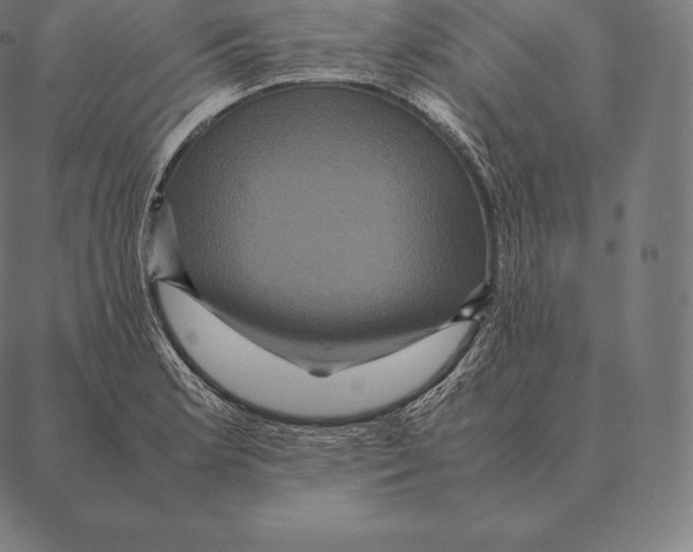 X0000087371181200705181209