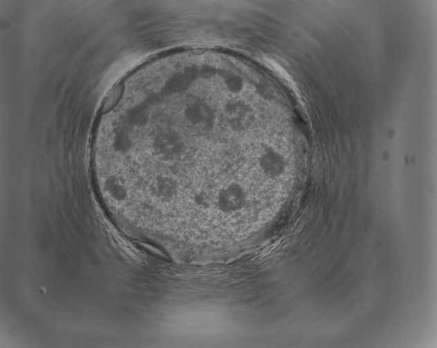 X0000087371183200705181209