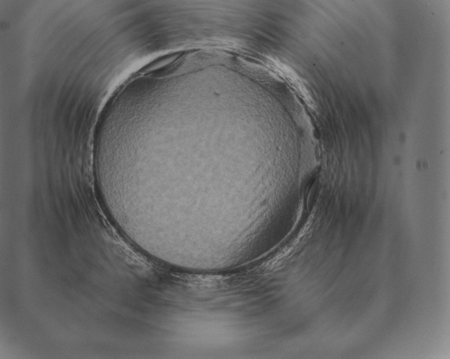 X0000087371184200705181209