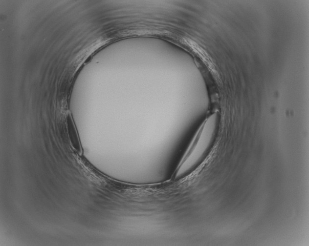 X0000087371185200705181209