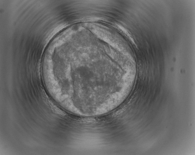 X0000087371186200705181209