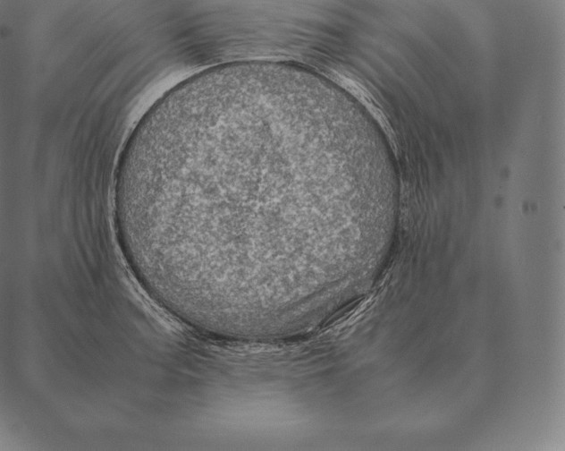 X0000087371187200705181209