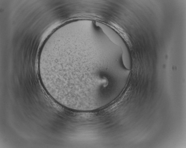 X0000087371188200705181209