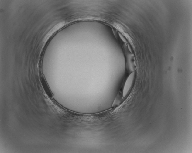 X0000087371189200705181209