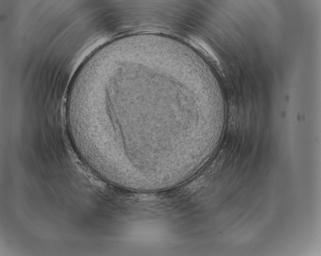 X0000087371190200705181209