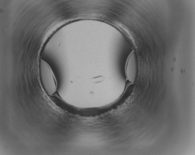 X0000087371192200705181209