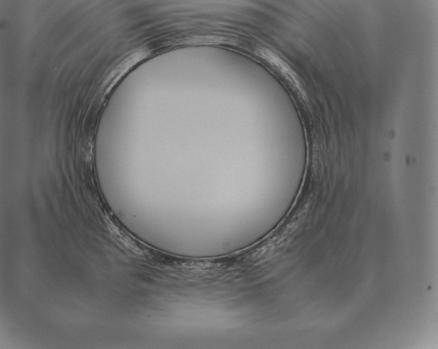 X0000087371193200705181209