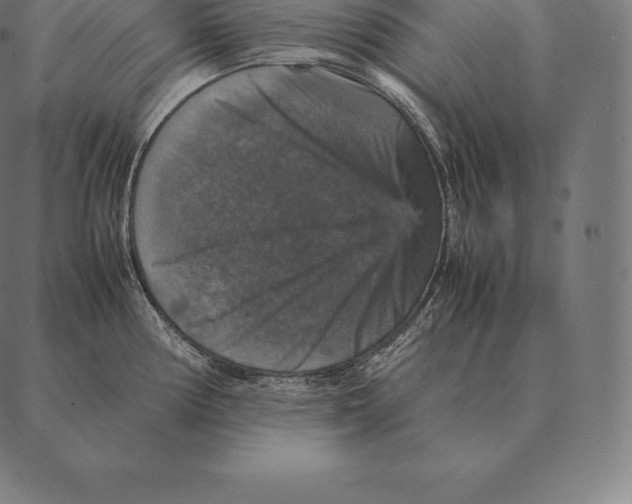 X0000087371194200705181209