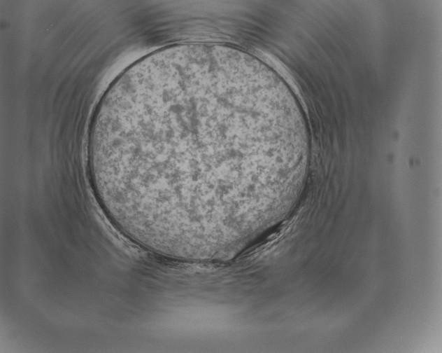 X0000087371195200705181209