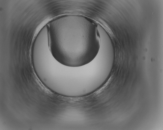 X0000087371196200705181209