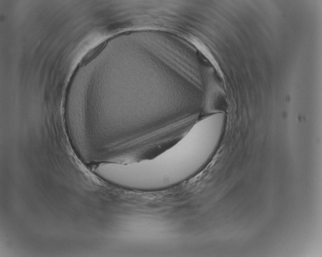 X0000087371197200705181209