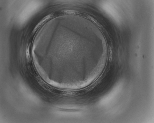 X0000087371198200705181209