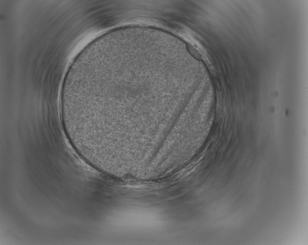 X0000087371199200705181209