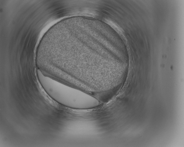 X0000087371200200705181209