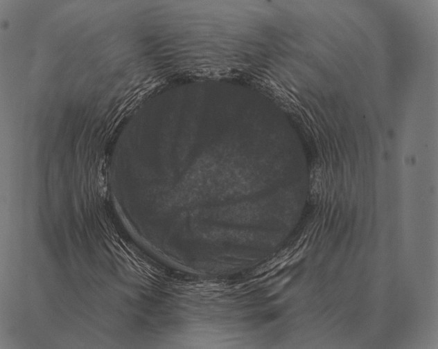 X0000087371202200705181208