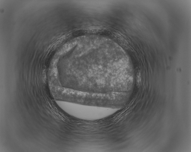 X0000087371204200705181208