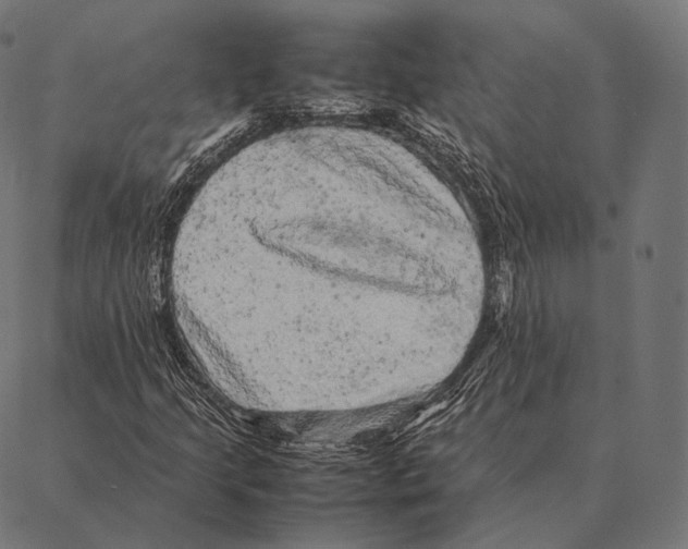 X0000087371205200705181208