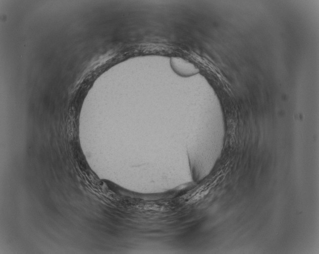 X0000087371207200705181208