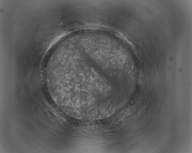 X0000087371208200705181208