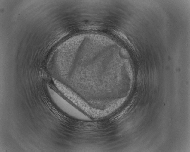 X0000087371209200705181208