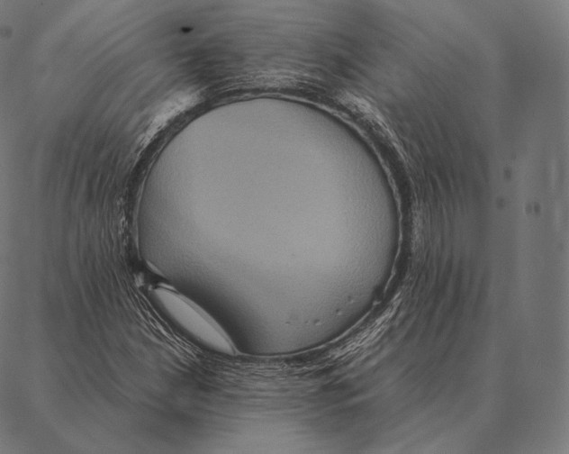 X0000087371210200705181208