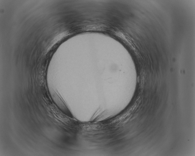 X0000087371211200705181208