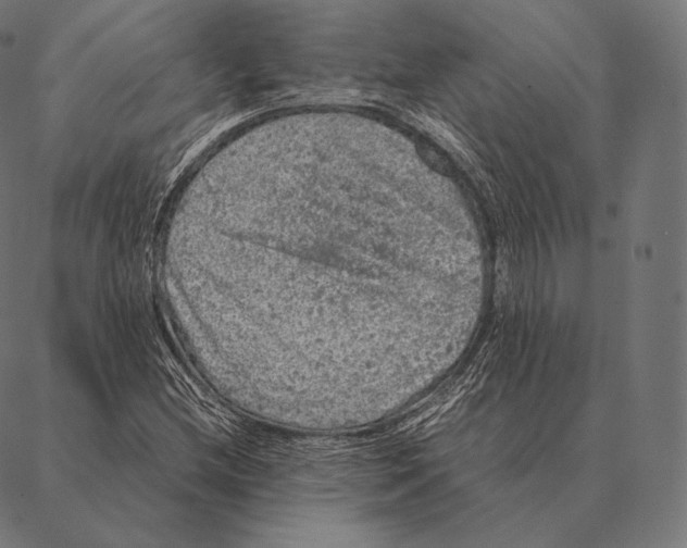 X0000087371212200705181208