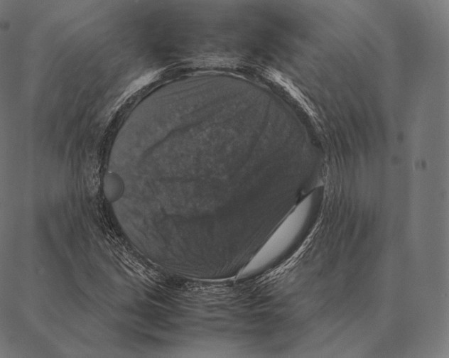 X0000087371213200705181208