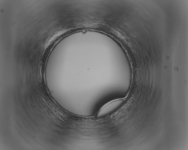 X0000087371214200705181208