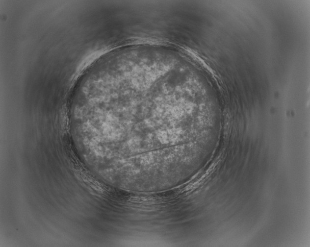 X0000087371215200705181208