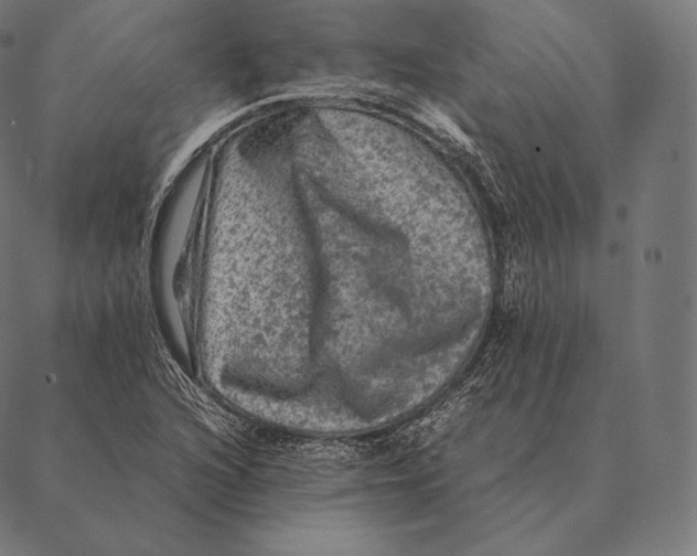 X0000087371216200705181208