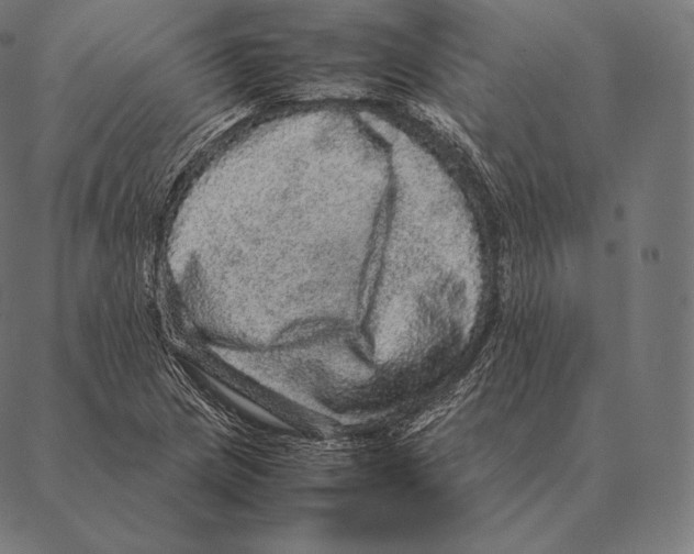 X0000087371217200705181208