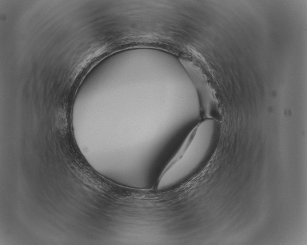 X0000087371218200705181208