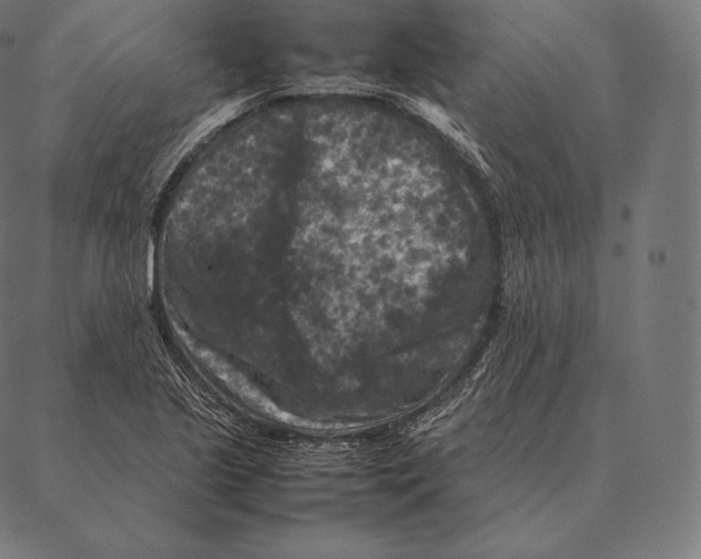 X0000087371221200705181208