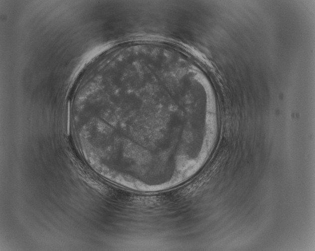 X0000087371223200705181208