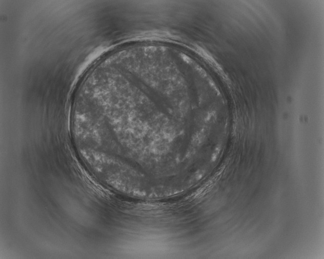 X0000087371224200705181208