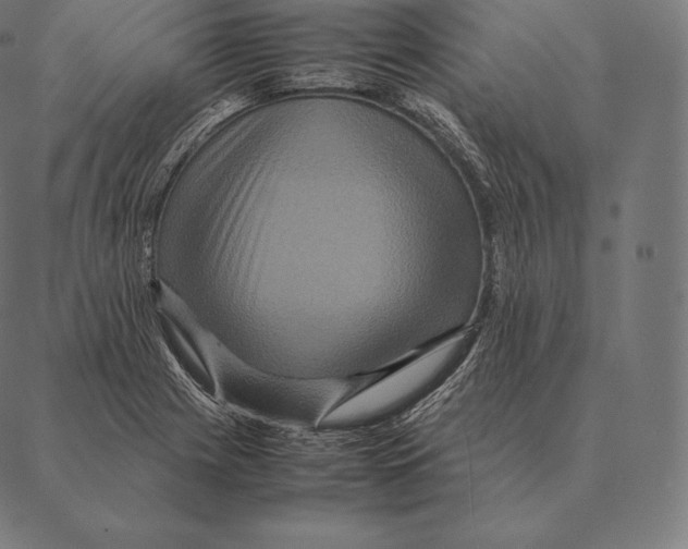 X0000087371225200705181208