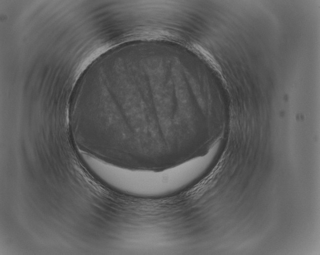 X0000087371226200705181208