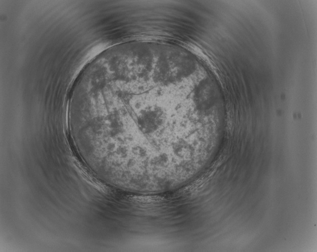 X0000087371227200705181208