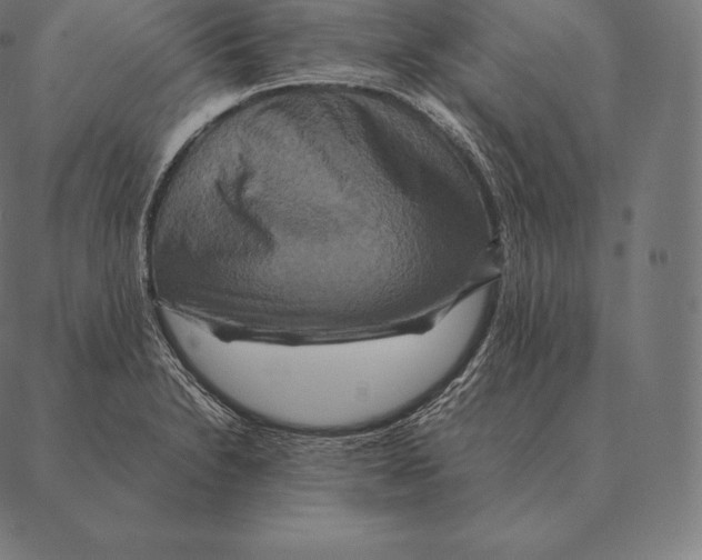 X0000087371230200705181208