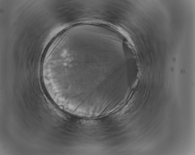 X0000087371231200705181208