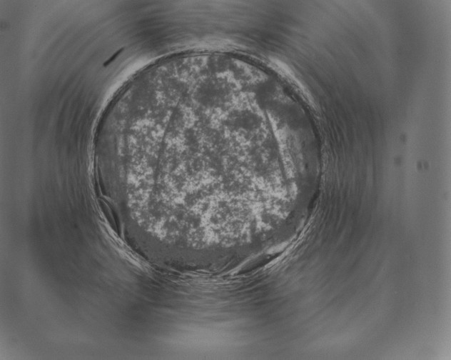 X0000087371232200705181208